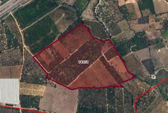 IĞDIR MAH. 10330 M² SINIRLARI BELİRLİ YATIRIMLIK BAHÇE