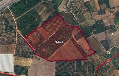 IĞDIR MAH. 10330 M² SINIRLARI BELİRLİ YATIRIMLIK BAHÇE