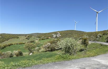 BALIKESİR KEPSUT SATILIK 4.000m2 TARLA *80m ASFALT YOL CEPHELİ*