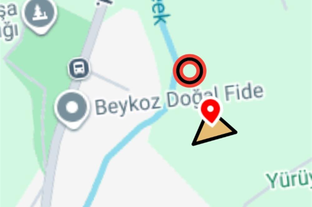 BEYKOZ MAHMUTSEVKETPASA DA IYI KONUMDA MUSTAKIL TAPULU ARSA