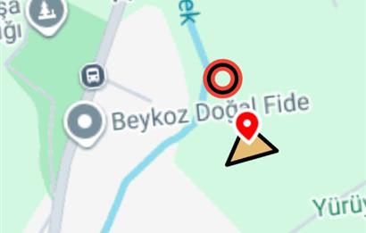 BEYKOZ MAHMUTSEVKETPASA DA IYI KONUMDA MUSTAKIL TAPULU ARSA