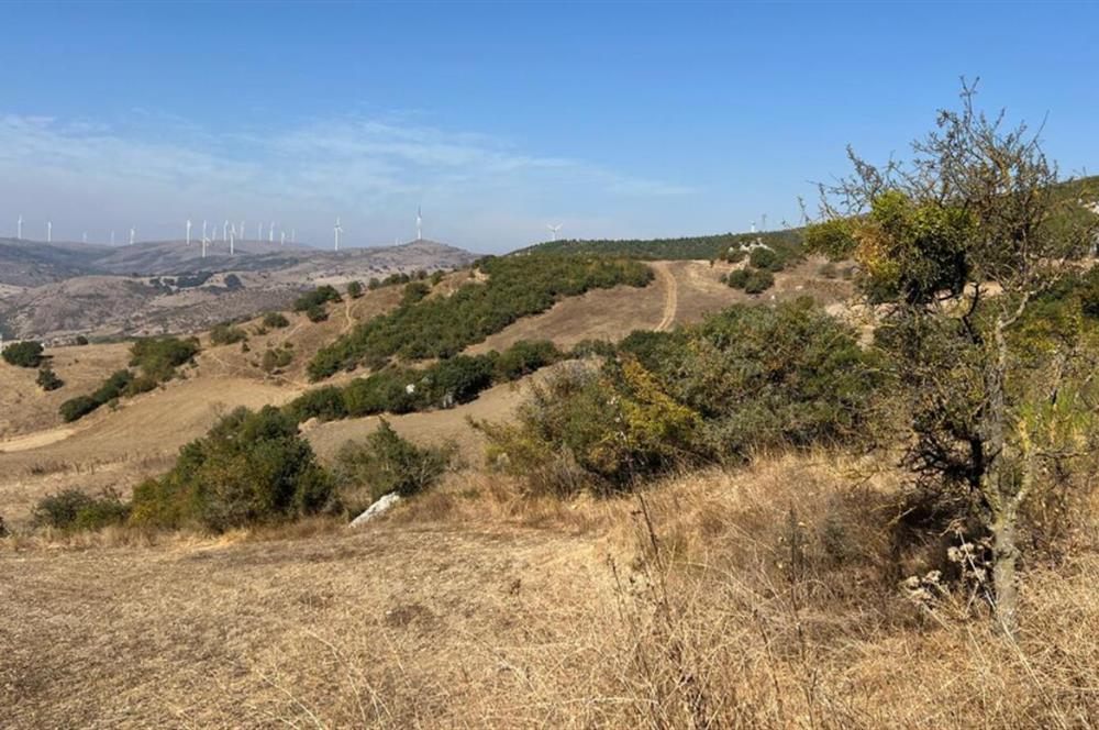 BALIKESİR KEPSUT SATILIK 4.000m2 TARLA *80m ASFALT YOL CEPHELİ*