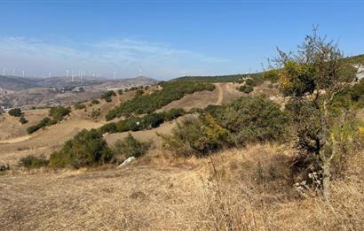 BALIKESİR KEPSUT SATILIK 4.000m2 TARLA *80m ASFALT YOL CEPHELİ*