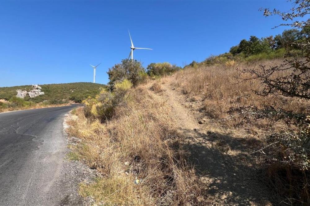 BALIKESİR KEPSUT SATILIK 4.000m2 TARLA *80m ASFALT YOL CEPHELİ*