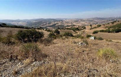 BALIKESİR KEPSUT SATILIK 4.000m2 TARLA *80m ASFALT YOL CEPHELİ*