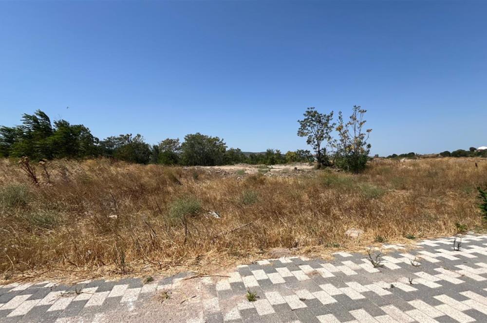 CENTURY 21 BAL'DAN SUSURLUK HAN MAHALLESİNDE SATILIK ARSA