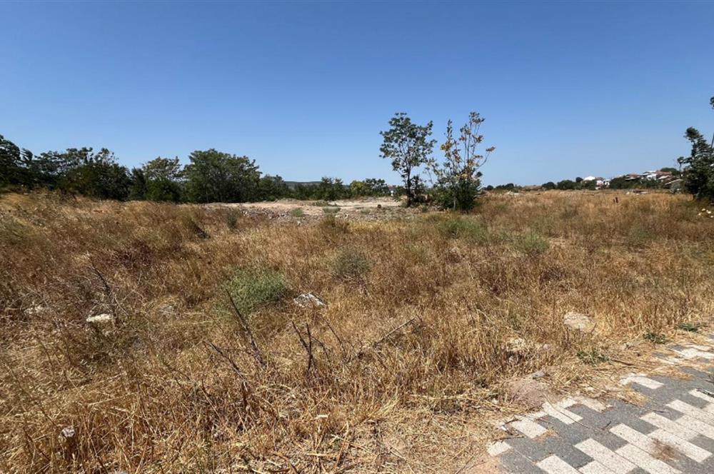 CENTURY 21 BAL'DAN SUSURLUK HAN MAHALLESİNDE SATILIK ARSA