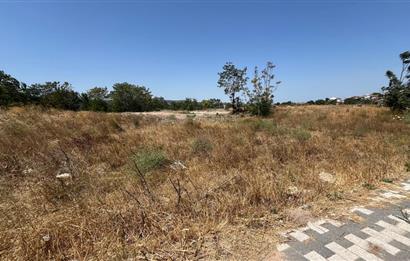 CENTURY 21 BAL'DAN SUSURLUK HAN MAHALLESİNDE SATILIK ARSA