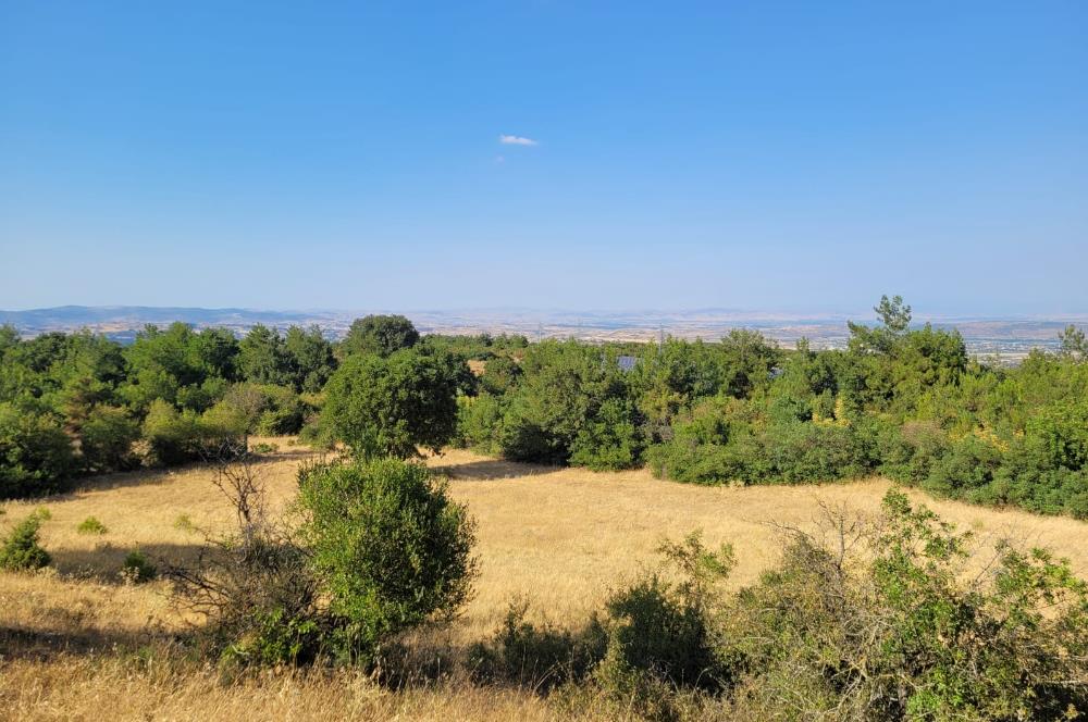 CENTURY21 BAL'DAN ALTIEYLÜL BOZEN'DE SATILIK 8465 M2 TARLA