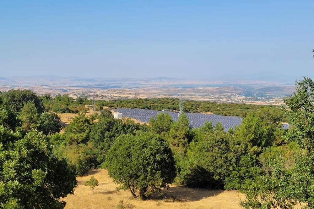 CENTURY21 BAL'DAN ALTIEYLÜL BOZEN'DE SATILIK 8465 M2 TARLA