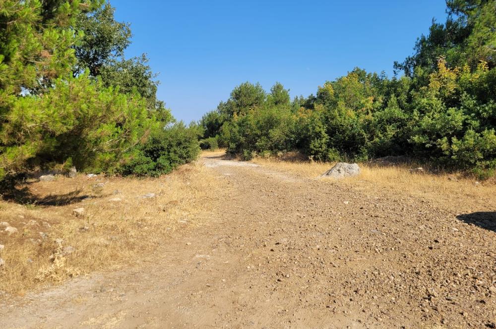 CENTURY21 BAL'DAN ALTIEYLÜL BOZEN'DE SATILIK 8465 M2 TARLA
