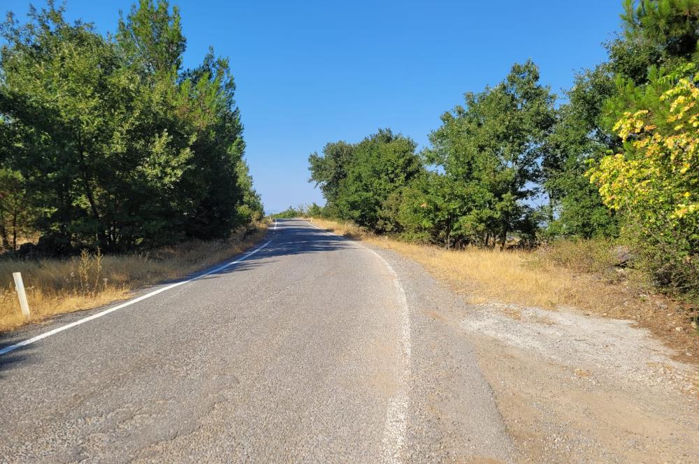 CENTURY21 BAL'DAN ALTIEYLÜL BOZEN'DE SATILIK 8465 M2 TARLA