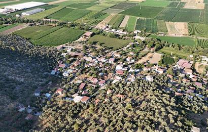 10050.62 m2 Olive Grove in Milas Damlıboğaz Village
