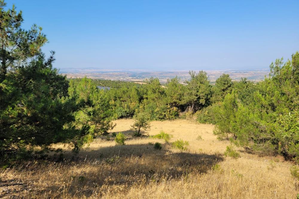 CENTURY21 BAL'DAN ALTIEYLÜL BOZEN'DE SATILIK 8465 M2 TARLA