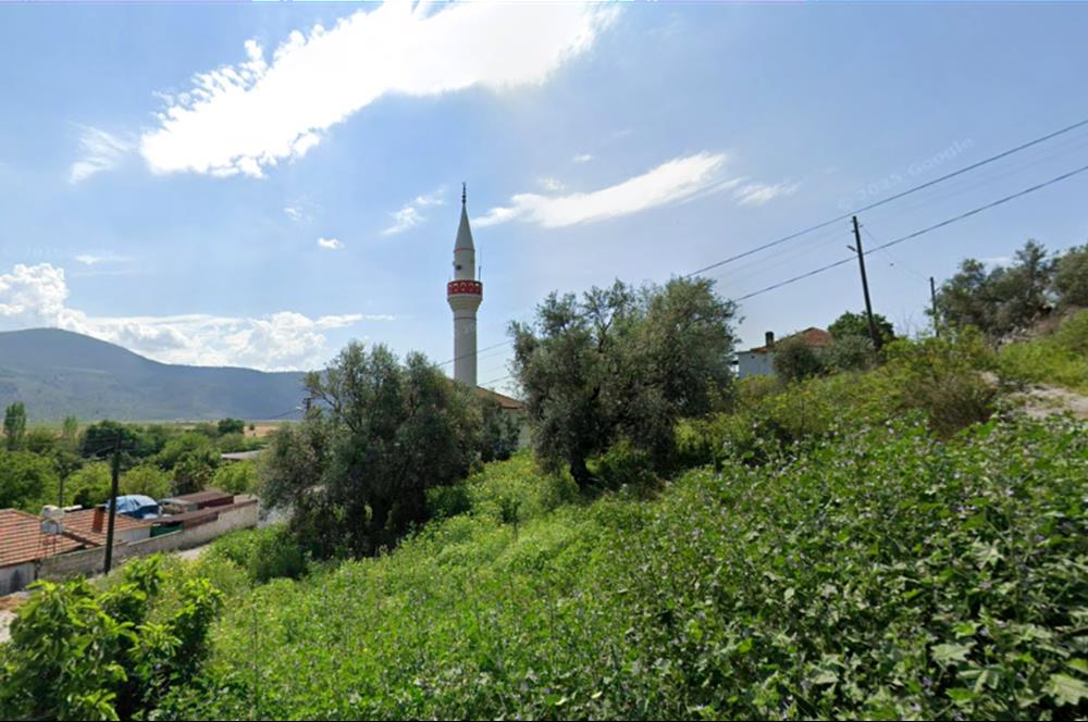 10050.62 m2 Olive Grove in Milas Damlıboğaz Village