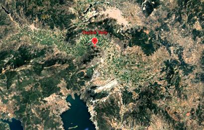 10050.62 m2 Olive Grove in Milas Damlıboğaz Village