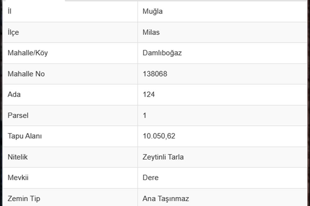 10050.62 m2 Olive Grove in Milas Damlıboğaz Village