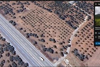 Philsa Caddesi Üzeri Satılık Fırsat Zeytinlik