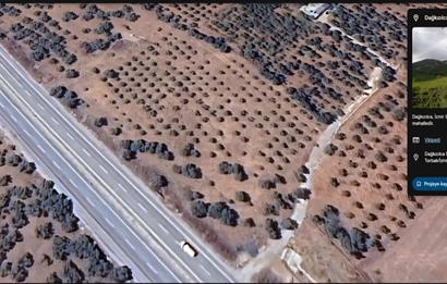 Philsa Caddesi Üzeri Satılık Fırsat Zeytinlik