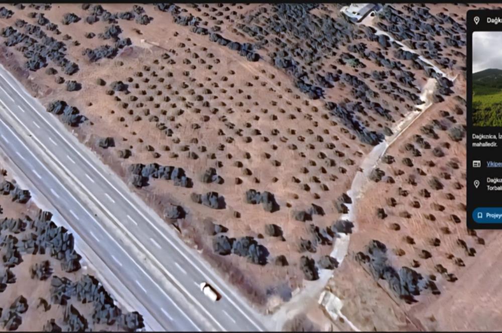 Philsa Caddesi Üzeri Satılık Fırsat Zeytinlik