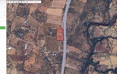 Philsa Caddesi Üzeri Satılık Fırsat Zeytinlik