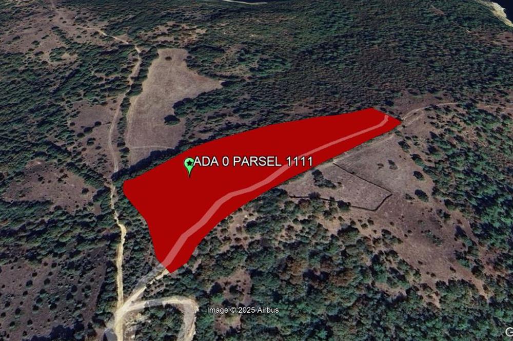 CENTURY21 BAL'DAN BALYA ,DANİŞMENT KÖYÜNDE SATILIK TARLA