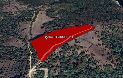 CENTURY21 BAL'DAN BALYA ,DANİŞMENT KÖYÜNDE SATILIK TARLA
