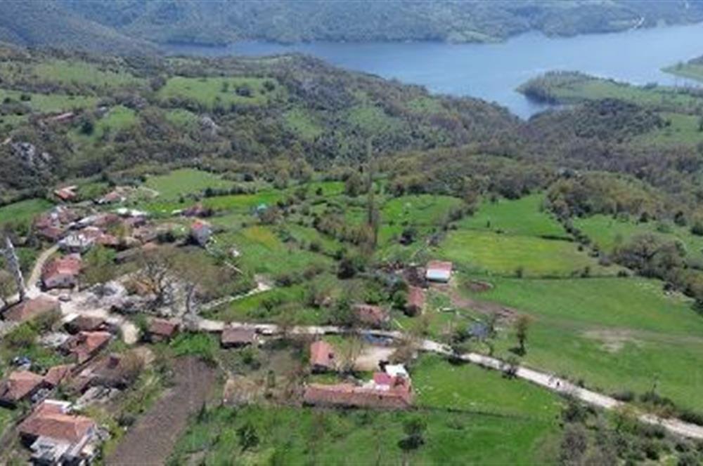 CENTURY21 BAL'DAN BALYA ,DANİŞMENT KÖYÜNDE SATILIK TARLA