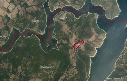 CENTURY21 BAL'DAN BALYA ,DANİŞMENT KÖYÜNDE SATILIK TARLA