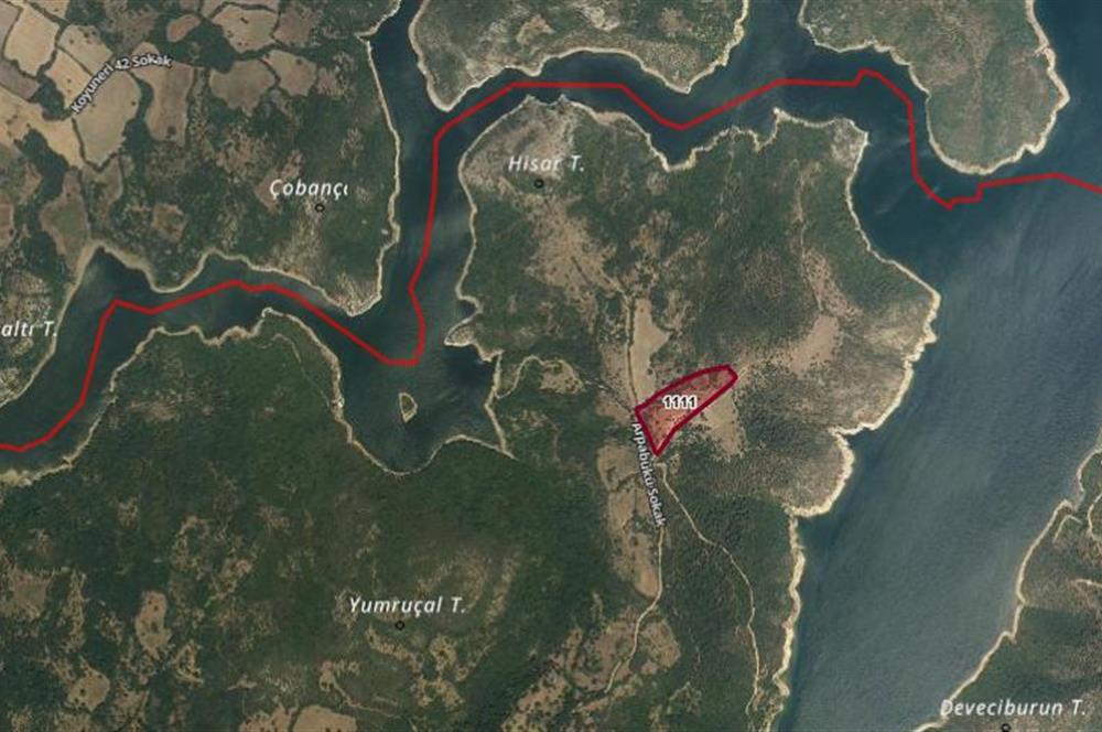 CENTURY21 BAL'DAN BALYA ,DANİŞMENT KÖYÜNDE SATILIK TARLA