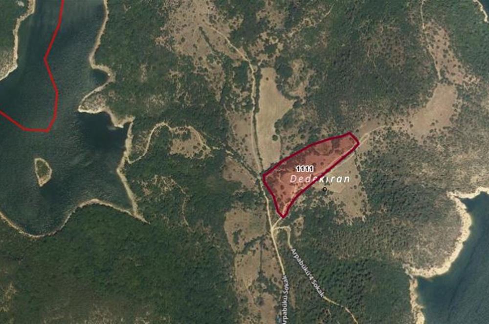CENTURY21 BAL'DAN BALYA ,DANİŞMENT KÖYÜNDE SATILIK TARLA