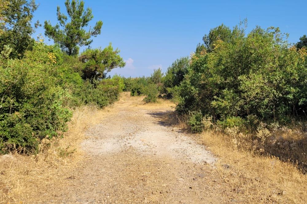 CENTURY21 BAL'DAN ALTIEYLÜL BOZEN'DE SATILIK 8465 M2 TARLA
