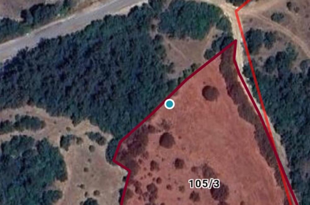 CENTURY21 BAL'DAN ALTIEYLÜL BOZEN'DE SATILIK 8465 M2 TARLA