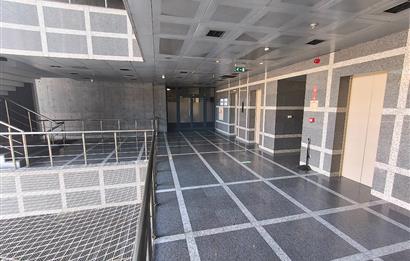 C21 NEXAR'DAN Dekorasyonlu-Kullanıma Hazır 725m² Ofis&PlazaKatı