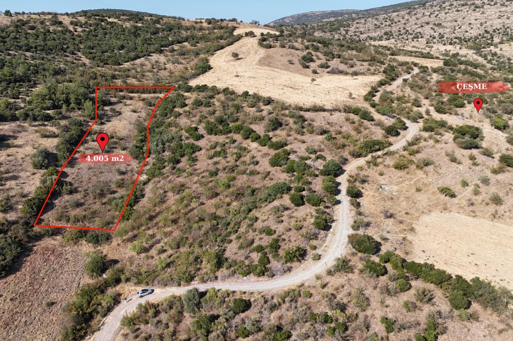 C21 WİNNER KEPSUT NUSRET KÖYÜNDE 4.005m² SATILIK TARLA