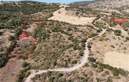 C21 WİNNER KEPSUT NUSRET KÖYÜNDE 4.005m² SATILIK TARLA