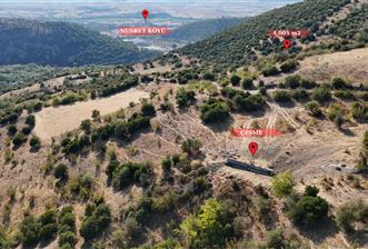 C21 WİNNER KEPSUT NUSRET KÖYÜNDE 4.005m² SATILIK TARLA