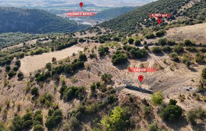 C21 WİNNER KEPSUT NUSRET KÖYÜNDE 4.005m² SATILIK TARLA