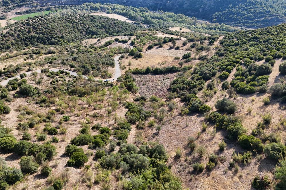 C21 WİNNER KEPSUT NUSRET KÖYÜNDE 4.005m² SATILIK TARLA