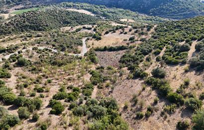 C21 WİNNER KEPSUT NUSRET KÖYÜNDE 4.005m² SATILIK TARLA