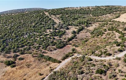 C21 WİNNER KEPSUT NUSRET KÖYÜNDE 4.005m² SATILIK TARLA