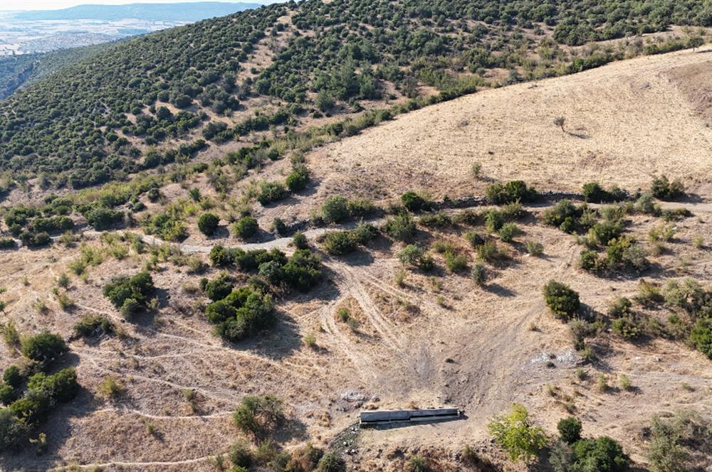 C21 WİNNER KEPSUT NUSRET KÖYÜNDE 4.005m² SATILIK TARLA