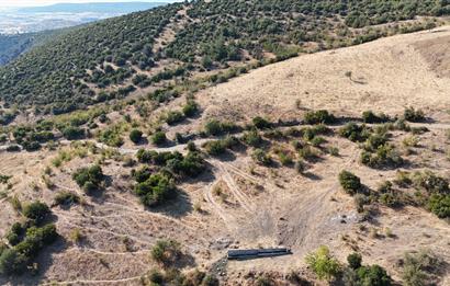 C21 WİNNER KEPSUT NUSRET KÖYÜNDE 4.005m² SATILIK TARLA
