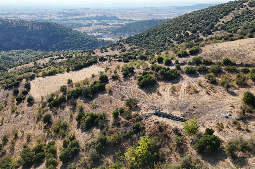 C21 WİNNER KEPSUT NUSRET KÖYÜNDE 4.005m² SATILIK TARLA