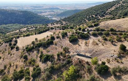 C21 WİNNER KEPSUT NUSRET KÖYÜNDE 4.005m² SATILIK TARLA