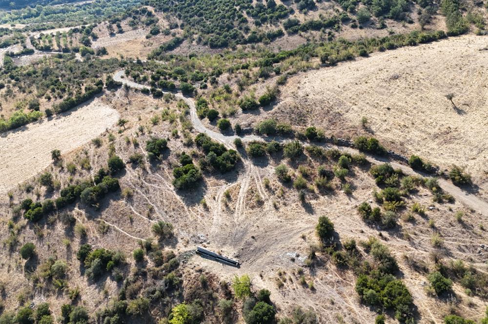 C21 WİNNER KEPSUT NUSRET KÖYÜNDE 4.005m² SATILIK TARLA