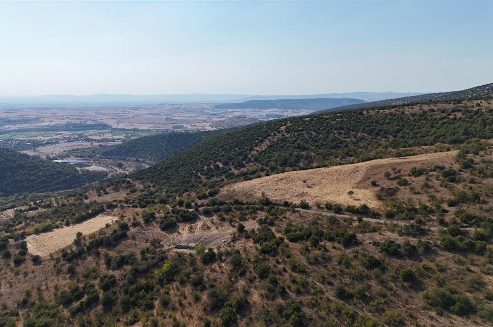 C21 WİNNER KEPSUT NUSRET KÖYÜNDE 4.005m² SATILIK TARLA