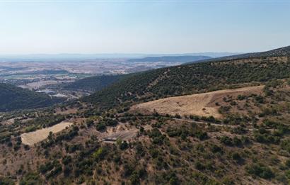 C21 WİNNER KEPSUT NUSRET KÖYÜNDE 4.005m² SATILIK TARLA