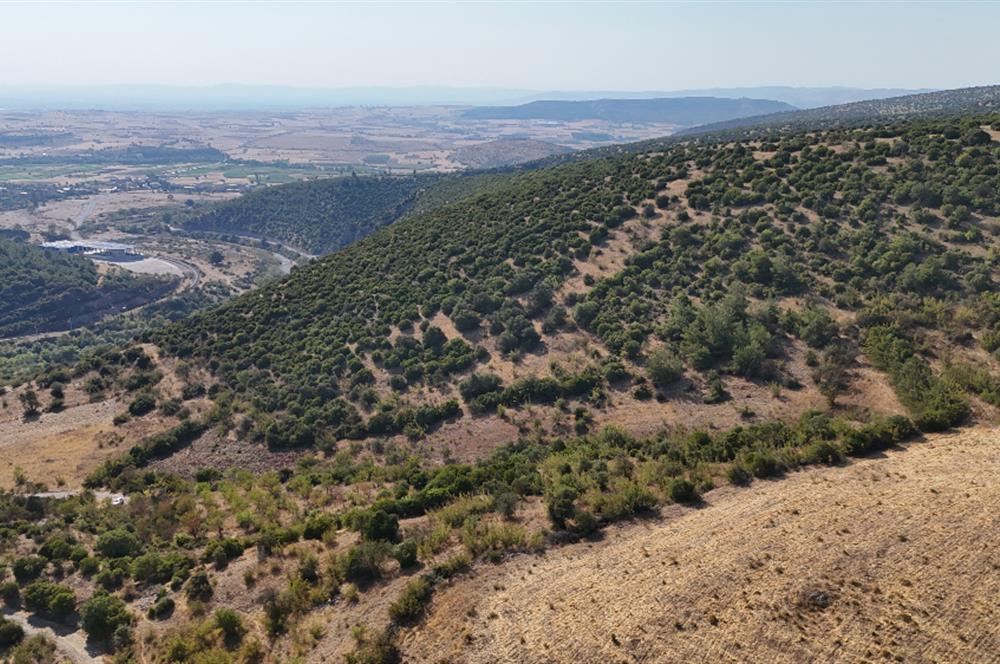 C21 WİNNER KEPSUT NUSRET KÖYÜNDE 4.005m² SATILIK TARLA
