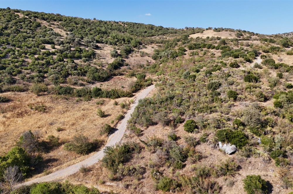C21 WİNNER KEPSUT NUSRET KÖYÜNDE 4.005m² SATILIK TARLA